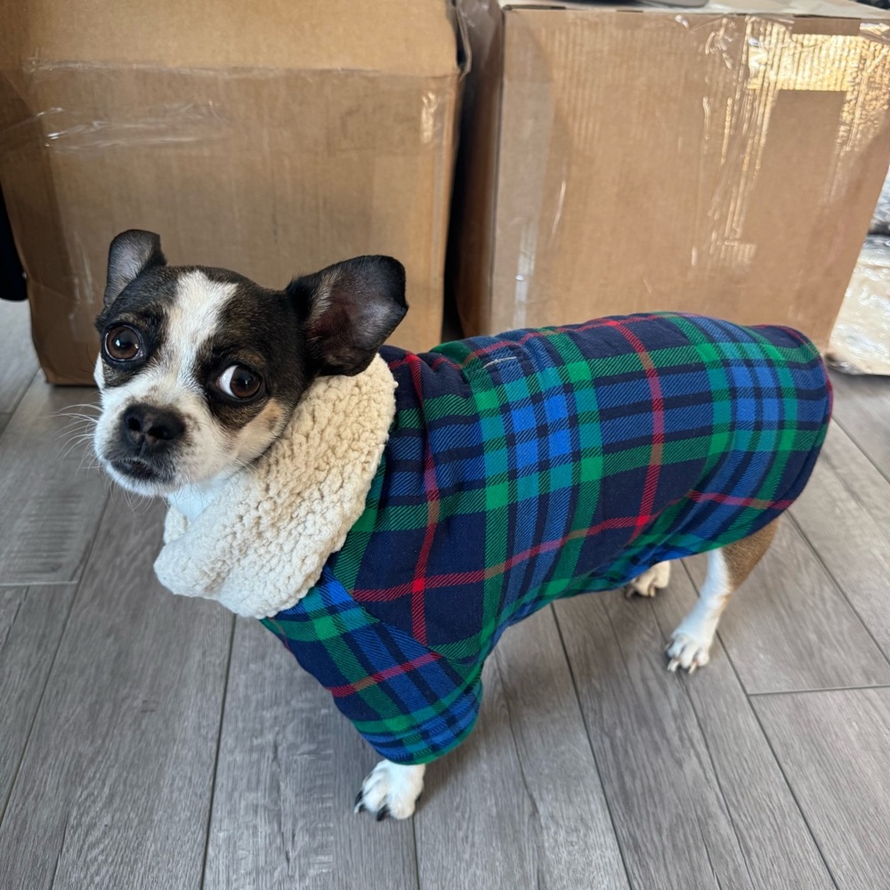 NWT AERIE DOG SWEATERS